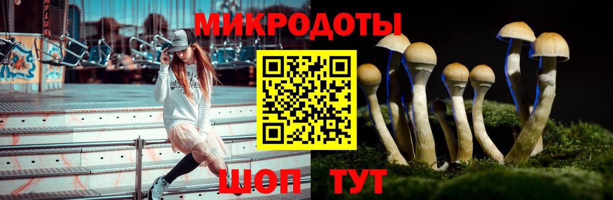 Псилоцибиновые грибы Psilocybine cubensis Соликамск